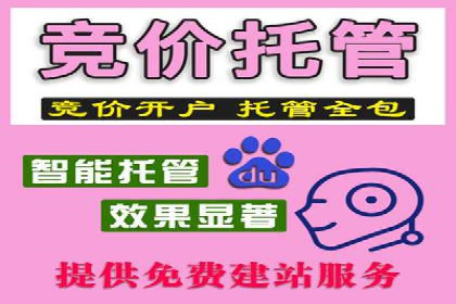 案例回顾：SEM托管助力企业实现快速扩张